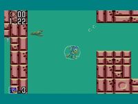 une photo d'Ã©cran de Sonic the Hedgehog 2 (Master System) sur Sega Master System